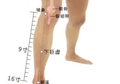 足阳明胃经经穴：下巨虚穴
