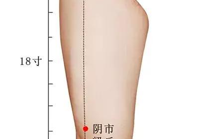 足阳明胃经经穴：梁丘穴