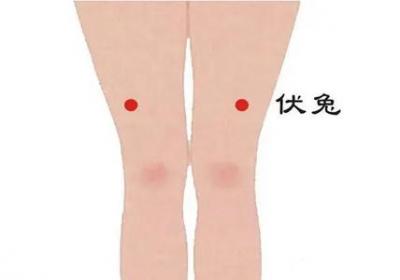 足阳明胃经经穴：伏兔穴