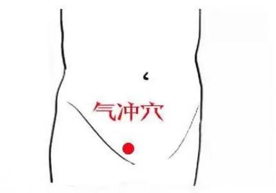 足阳明胃经经穴：气冲穴