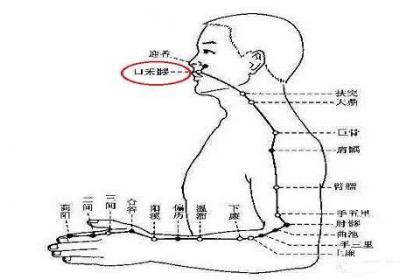口禾髎的定位与主治