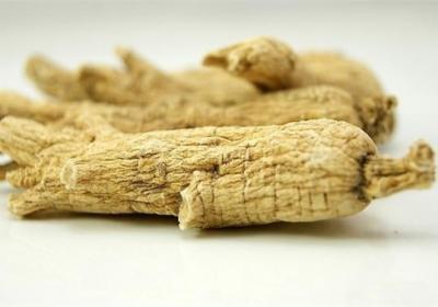 花旗参和西洋参的区别