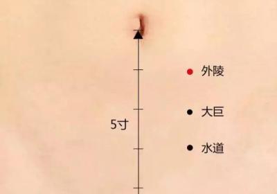 足阳明胃经经穴：外陵穴