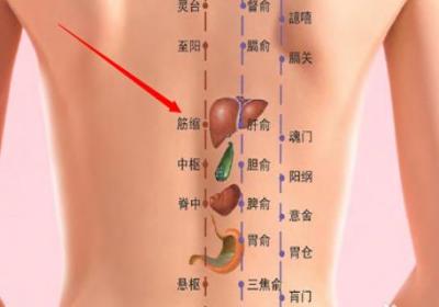 筋缩的准确位置怎么找