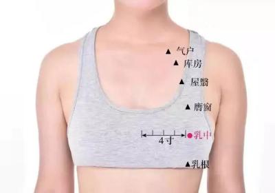 足阳明胃经经穴：乳中穴