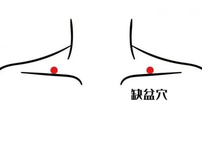 足阳明胃经经穴：缺盆穴