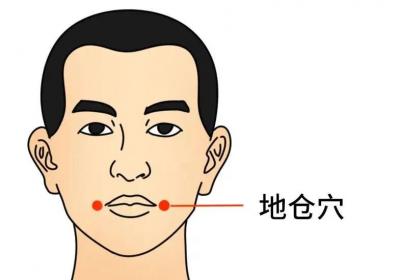 足阳明胃经经穴：地仓穴