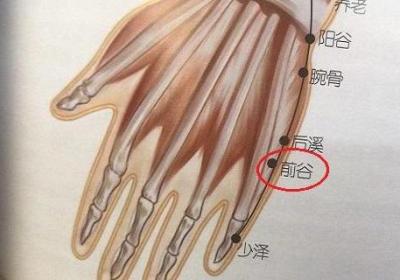 前谷的作用是什么