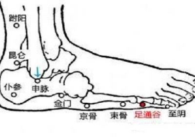 足通谷的功效与作用