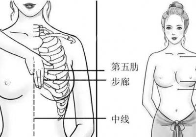足少阴肾经经穴：步廊穴