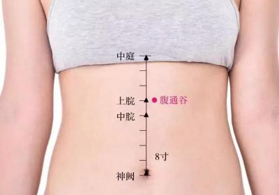 足少阴肾经经穴：腹通谷穴