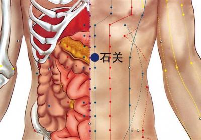 足少阴肾经经穴：石关穴
