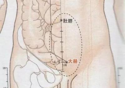 足少阴肾经经穴：大赫穴