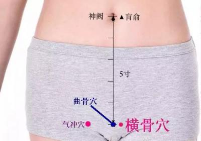 足少阴肾经经穴：横骨穴