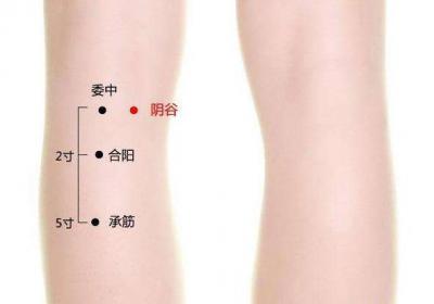 足少阴肾经经穴：阴谷穴