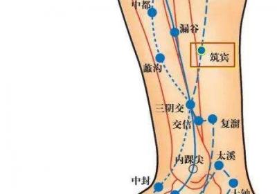 足少阴肾经经穴：筑宾穴