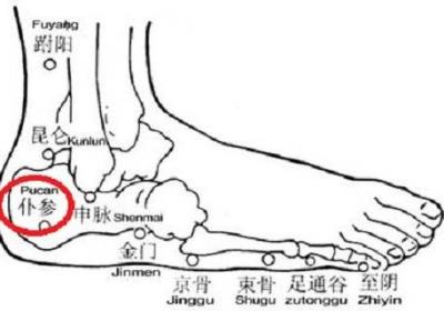 仆参按了疼是什么原因