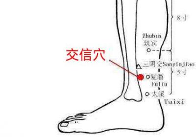 足少阴肾经经穴：交信穴