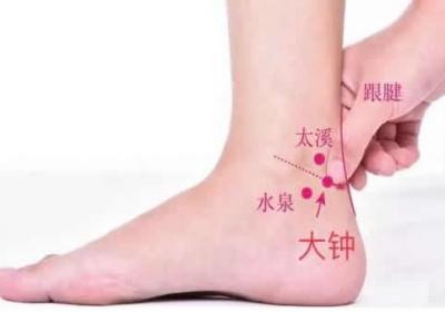足少阴肾经经穴：大钟穴