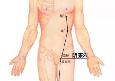 足厥阴肝经经穴：阴廉穴