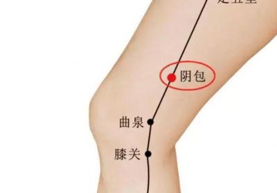 足厥阴肝经经穴：阴包穴