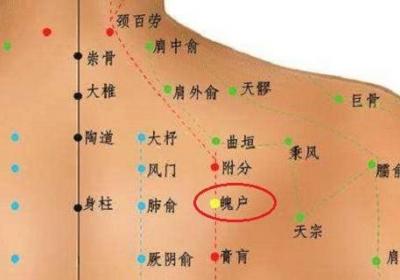 魄户准确位置图和作用