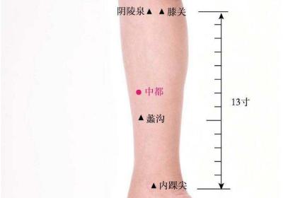 足厥阴肝经经穴：中都穴