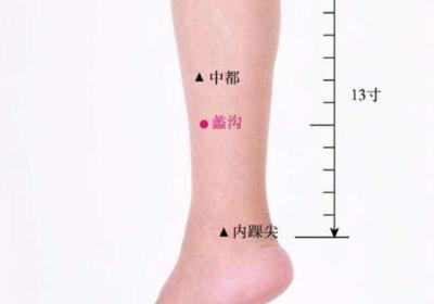 足厥阴肝经经穴：蠡沟穴