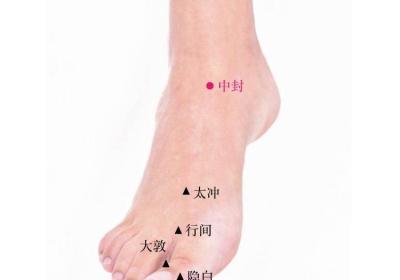 足厥阴肝经经穴：中封穴