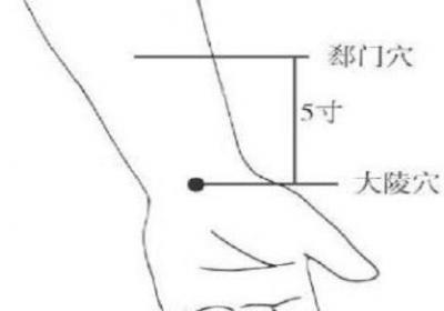 郄门的准确位置及作用