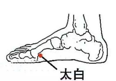 足太阴脾经经穴：太白穴