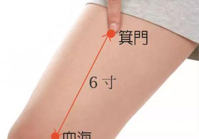 足太阴脾经经穴：箕门穴