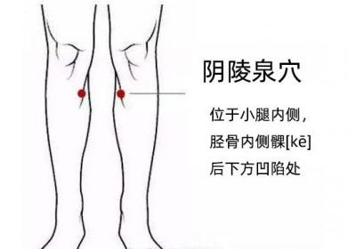 足太阴脾经经穴：阴陵泉穴