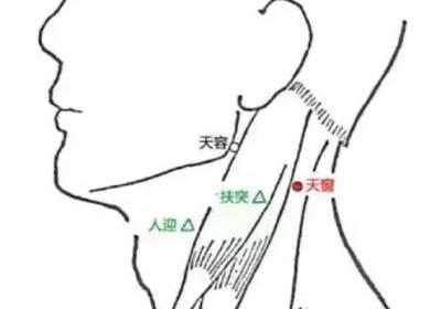 手太阳小肠经经穴：天窗穴