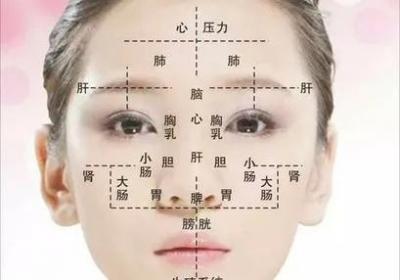中医面诊之面部反射区——面部各部位对应的脏腑健康问题