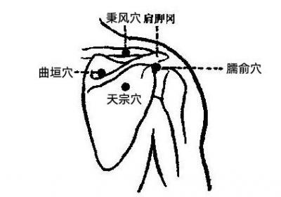 手太阳小肠经经穴：臑俞穴