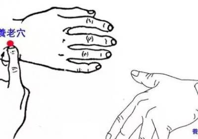 手太阳小肠经经穴：养老穴