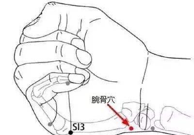 手太阳小肠经经穴：腕骨穴