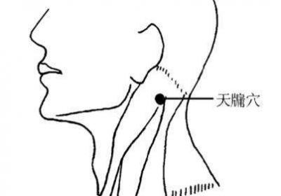 手少阳三焦经经穴：天牖[yǒu]穴
