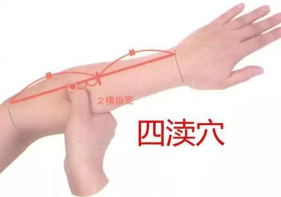 手少阳三焦经经穴：四渎穴