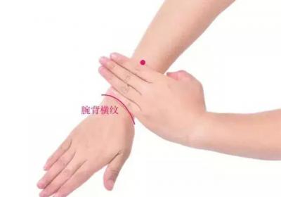 手少阳三焦经经穴：会宗穴
