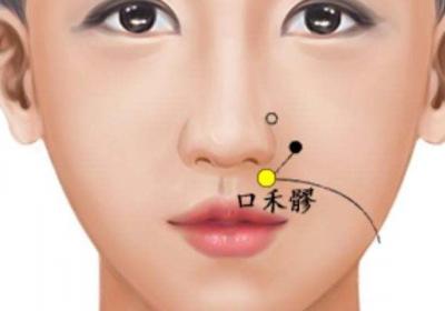 手阳明大肠经经穴：口禾髎穴