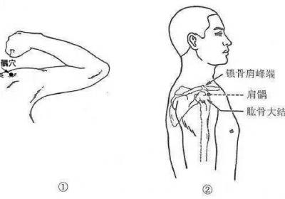 手阳明大肠经经穴：肩髃穴