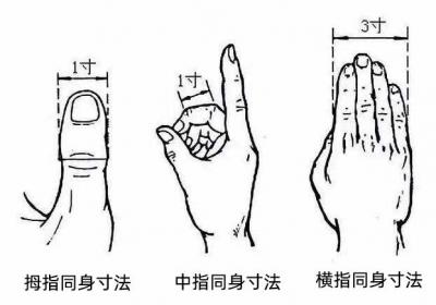 手阳明大肠经经穴：下廉穴