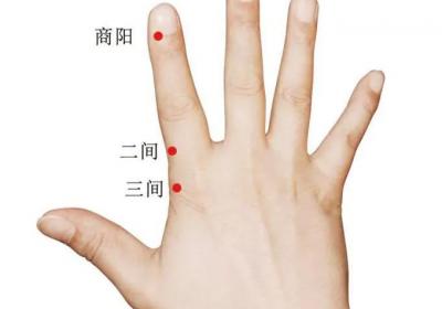 手阳明大肠经经穴：二间穴