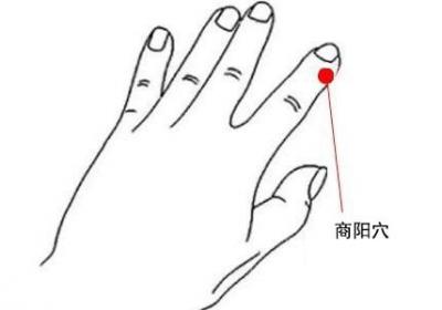 手阳明大肠经经穴：商阳穴