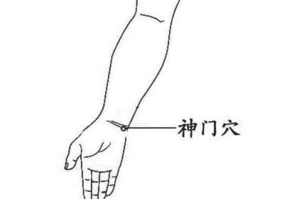 手少阴心经经穴：神门穴