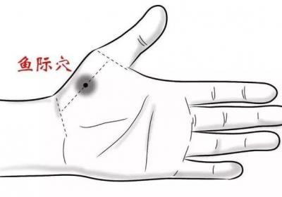 人体穴位：鱼际穴