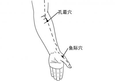 人体穴位：孔最穴