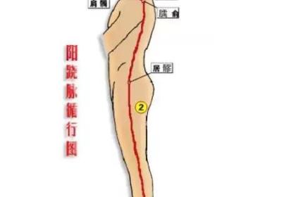 人体奇经八脉——阳跷脉循行路线图